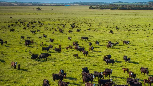 Both beef and poultry have been produced at the Tullaree property.