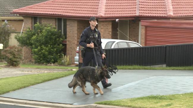 Police dog squads search a house in St Andrews in the Campbelltown region believing it may have contained fugitive Paea Teu. The search was unsuccessful. Picture: TNV