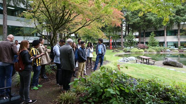 Microsoft's huge leafy campus at Redmond, Seattle. Photo: Microsoft