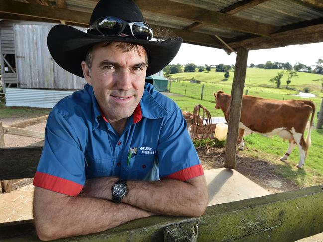 Maleny Dairies’ owner Ross Hopper said the truck driver involved in a fatal crash would return to work. Picture: Patrick Woods