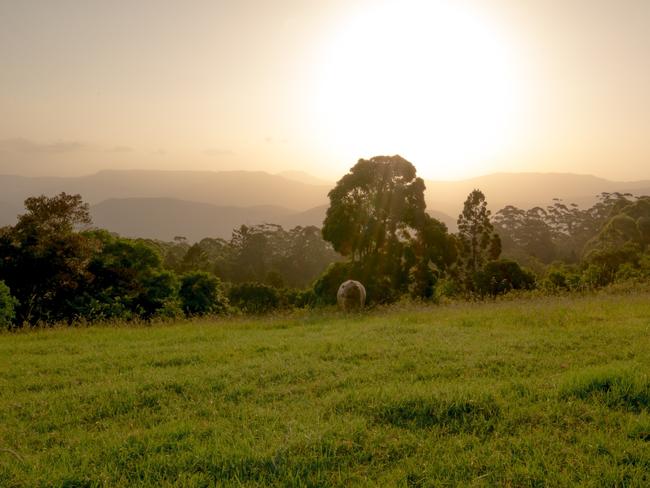 The Gold Coast Hinterland’s best-kept secret