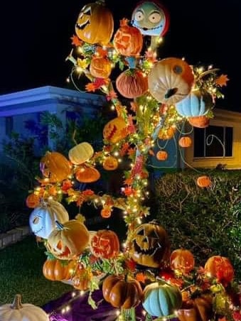 The display at Halloween Wonderland at 39 Sheedy Crescent in Marian in 2022. Picture: Facebook