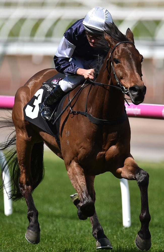 Damien Oliver rides Almandin to victory in the Bart Cummings on Turnbull Stakes Day. Picture: AAP