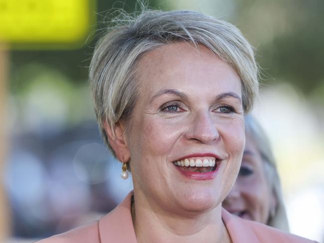 No split … but Tanya leaves Albo off campaign material