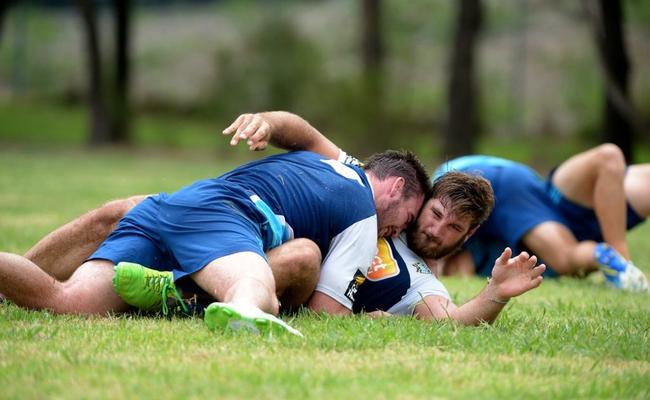 Titans Dave Taylor in action . Picture: John Gass