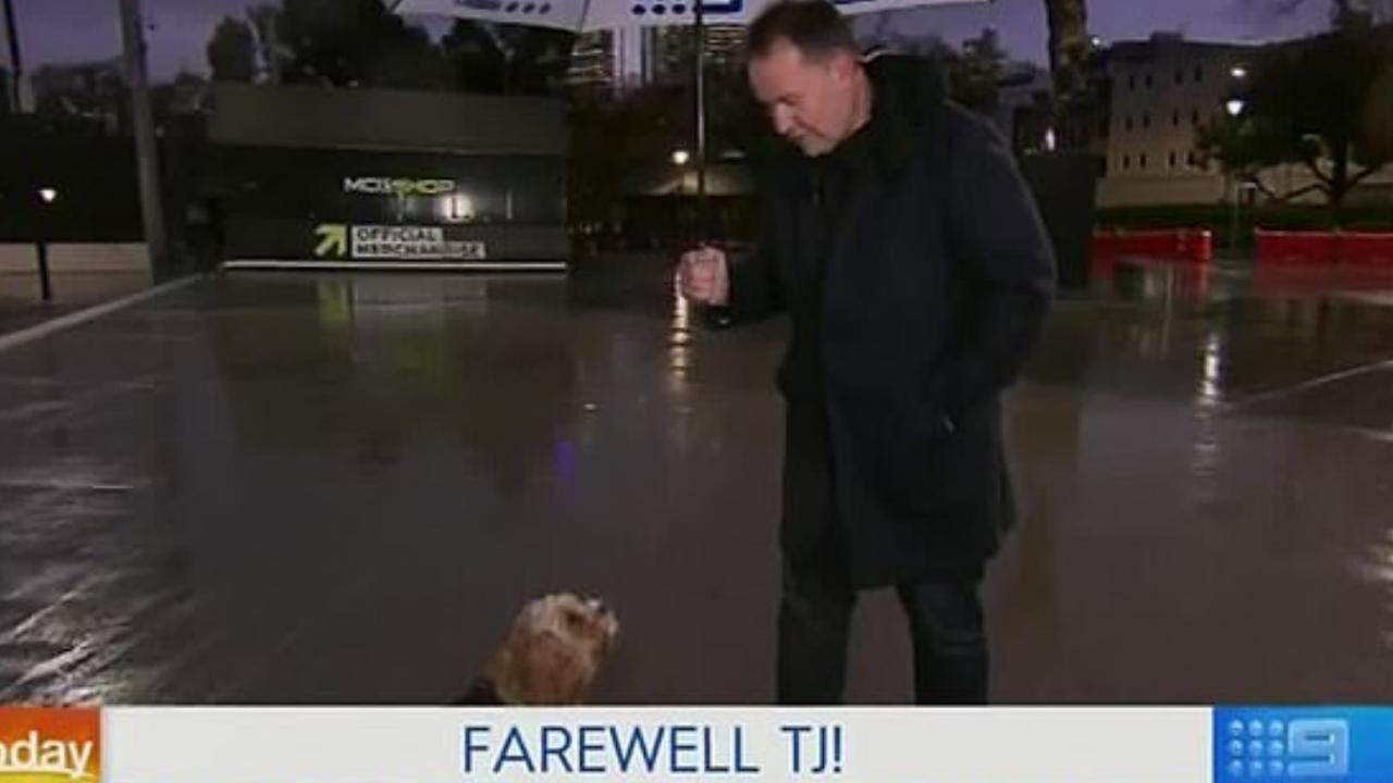 Teej and his diva cavoodle Archie bid farewell.