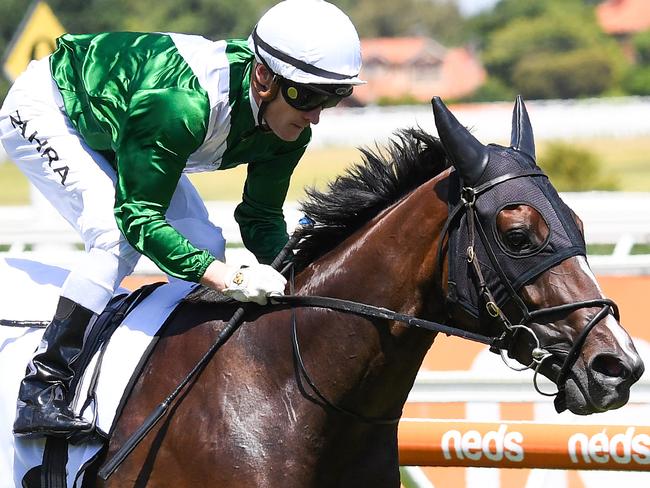 Enthaar ridden by Mark Zahra wins the Lamaro's Hotel Sth Melbourne Chairman's Stakes at Caulfield Racecourse on January 30, 2021 in Caulfield, Australia. (Pat Scala/Racing Photos via Getty Images)