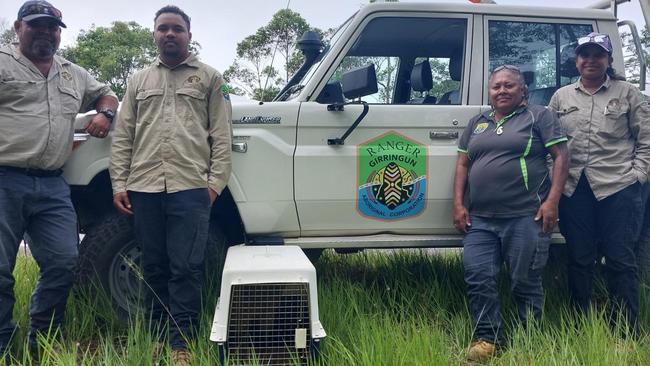 Girringun Indigenous Rangers with Bunji, the orphaned cassowary chick on the side of the Bruce Highway between Tully and Cardwell.