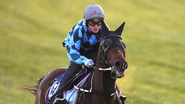 Craig Williams rides Youngstar during trackwork at Flemington. Picture: AAP