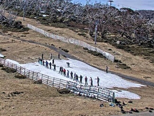 Skiiers were spotted on the Guthega snow camera making the most of what little snow was left. September 19. 2023. Picture captioned: 'Ah the Guthega Conga Line Dancers have arrived'