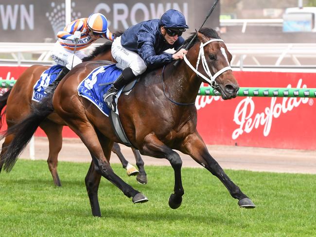 Star three-year-old Switzerland will be out to complete the Coolmore Stud Stakes and Lightning Stakes double at Flemington. Picture: Racing Photos via Getty Images.