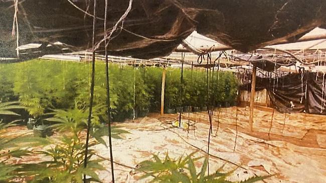 Court released photos of greenhouse 9-11 Buckland Park, the site of SA's largest cannabis crop.