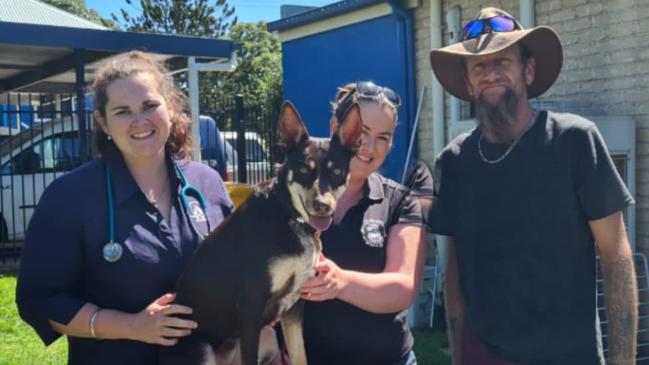 Garden City Vet Care's Dr Alice Murray (left) desexed, vaccinated and microchipped Dan Thompson's dog Sue. The care was funded by Off The Chain K9 Rescue's Jess Otto (centre).