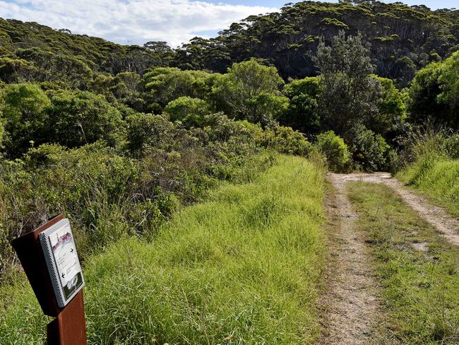 Trail to Winney Bay at Copacabana. Locals are concerned about destruction to the environment. Picture: Troy Snook