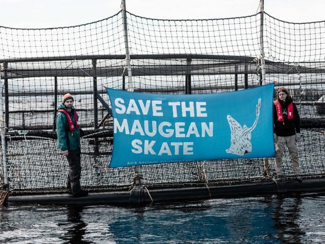 Bob Brown Foundation activists putting a banner up on a salmon pen in Macquarie Harbour. Picture: Supplied.