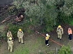 A man and woman were unloading a truck when the truck began moving. Picture: Nine News