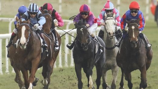 Tessy Tee (centre) looks a good chance when she resumes at Hawkesbury. Picture: Bradley Photos