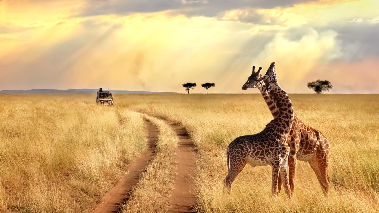 top safari trips in the world