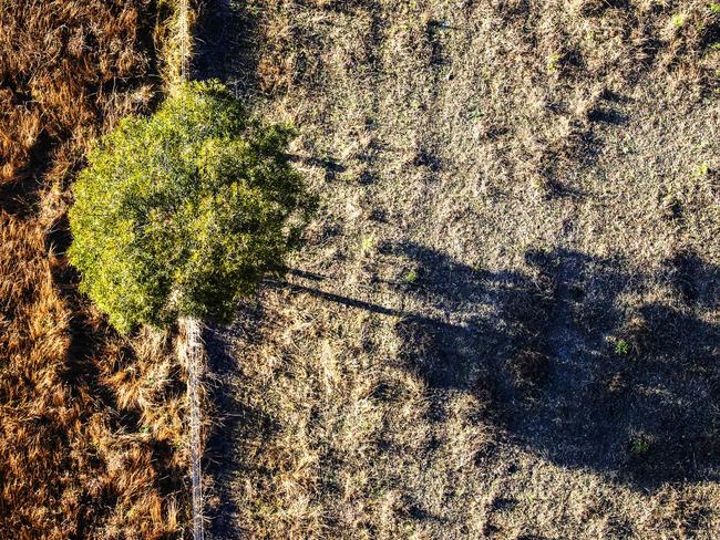 Mammoth $100k grant to restore and protect environment