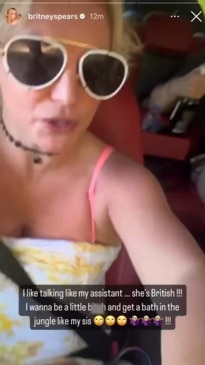 Britney Spears' foul mouthed spray astatine  her sister during livestream