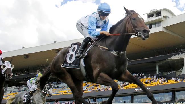 Nimalee is ready for Group 2 Golden Pendant. Photo: Mark Evans–Getty Images