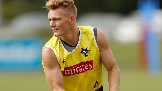 Adam Treloar stamped himself as a premium SuperCoach midfielder in 2016.