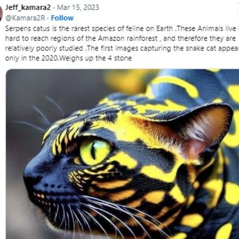 Kids News: Is this  snake cat photo real or fake? Here's how to know