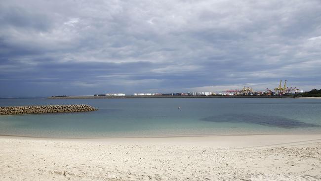 Many of the marine species within Yarra Bay are already threatened