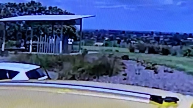 CCTV shows Pakenham dog attack’s aftermath