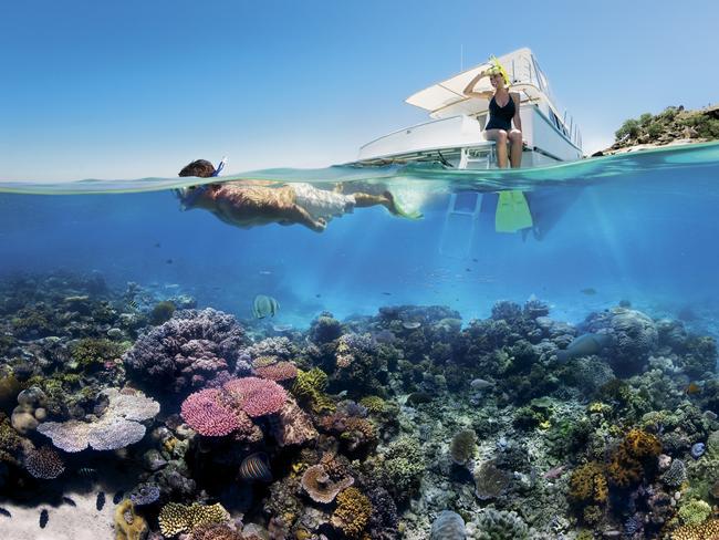 Snorkelling on the Great Barrier Reef is a popular activity for overseas visitors. Picture: Supplied