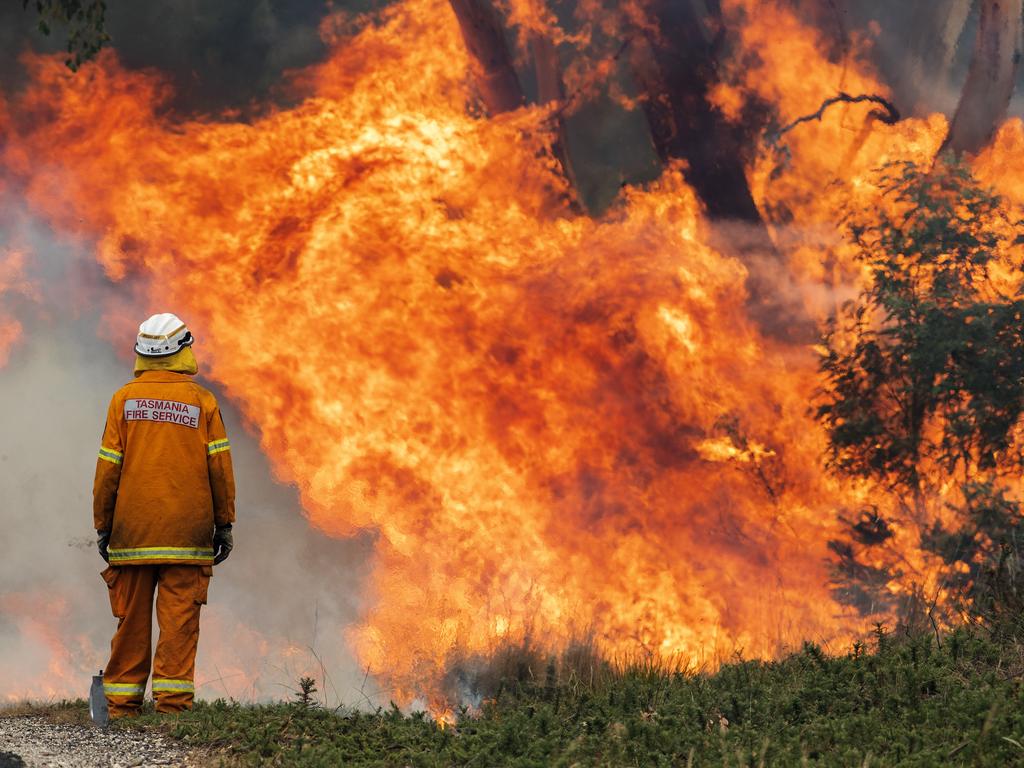 St Marys TFS Volunteer during back burning operations at Fingal. PICTURE CHRIS KIDD