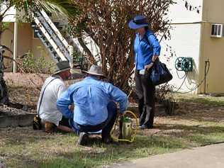 Health officials door-knocked to alert residents about dengue fever being diagnosed in their suburb. Picture: Vanessa Jarrett