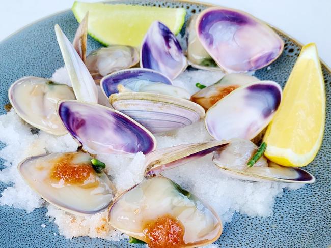 Sashimi pipis at Kuti Shack, Goolwa Beach. Picture: Dianne Mattsson