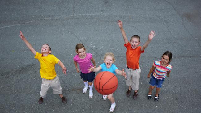 Division 4 Cr Shelley Curtis receives email from Max to stop removal of neighbourhood basketball hoop. Picture: iStock