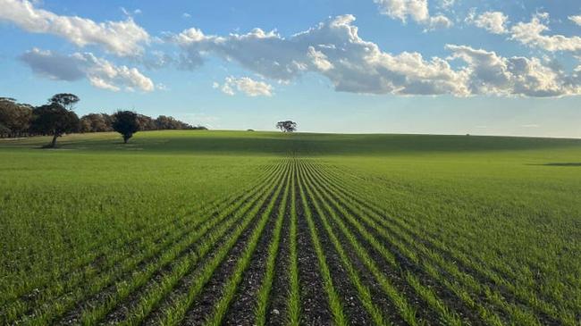 Corinella Group agricultural portfolio sold for $370m.