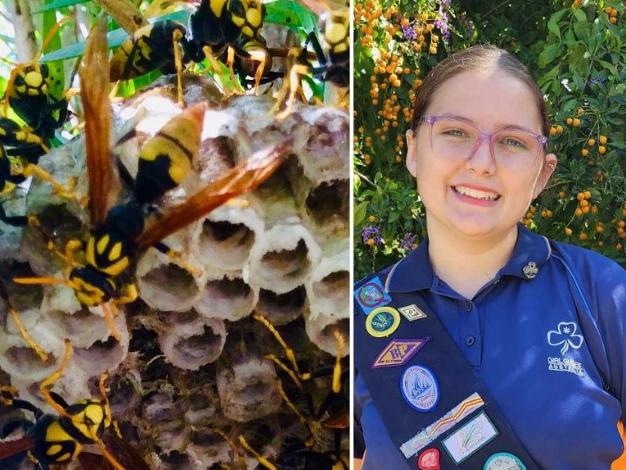 ‘Screaming in panic’: Brave teen’s river rescue as girls swarmed by wasps