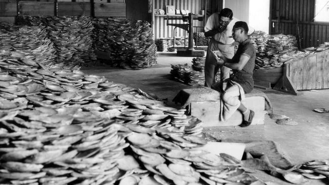 Grading pearl shell collected from Torres Strait waters at a Thursday Island warehouse. Picture: Zafer family image collection