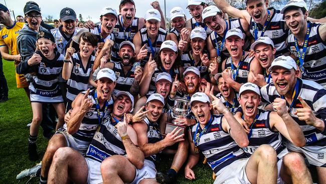 Strathfieldsaye won the 2019 Bendigo Football League premiership. Picture: SAA Imaging