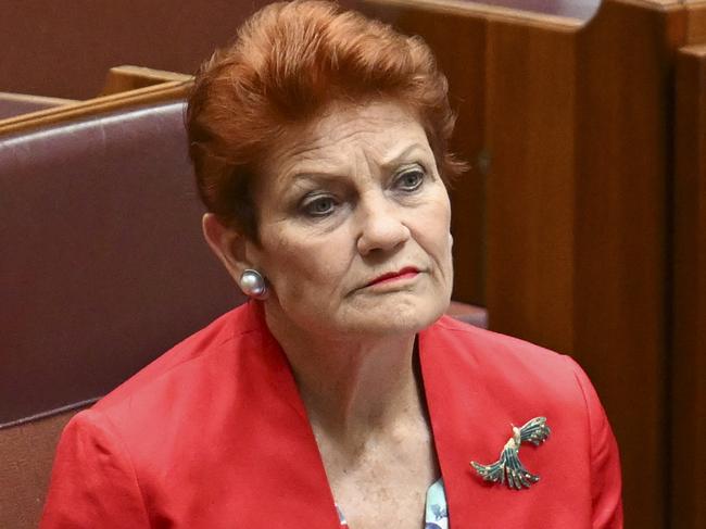 CANBERRA, AUSTRALIA  - NewsWire Photos - November 27, 2024:  Senator Pauline Hanson during Question Time in the Senate at Parliament House in Canberra. Picture: NewsWire / Martin Ollman