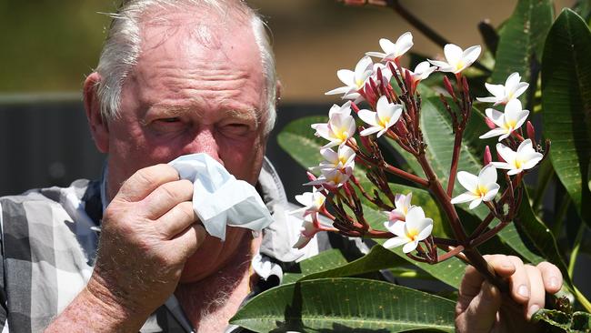 Bad news for people with hayfever, high pollen and thunderstorm asthma warning was been issued for today. Picture: Katrina Bridgeford.