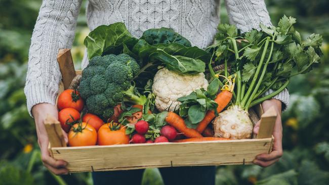 Growing your own fruit and vegetables is a huge benefit to your health and wellbeing.