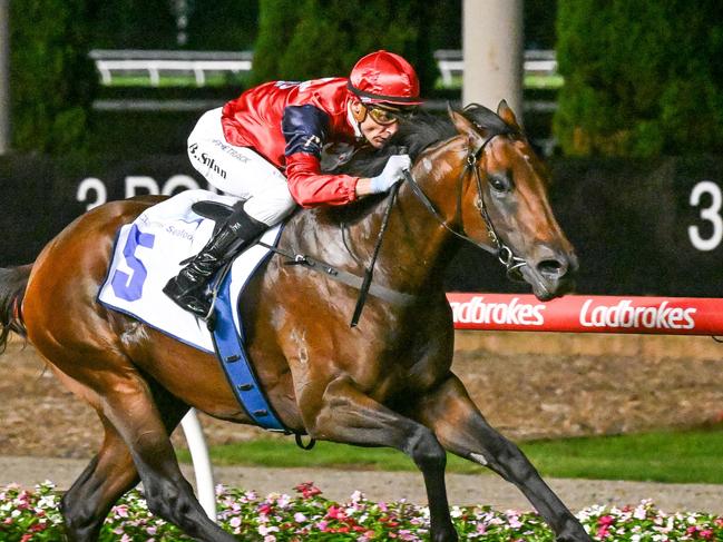 Schwarz ridden by Blake Shinn wins the Clamms Seafood Australia Stakes at Moonee Valley Racecourse on January 24, 2025 in Moonee Ponds, Australia. (Photo by Reg Ryan/Racing Photos via Getty Images)