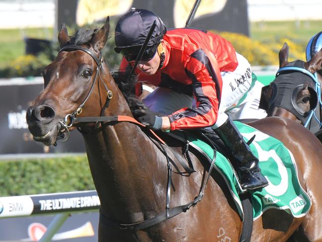 Race 5 - 1:45PM TAB HIGHWAY HANDICAP (1400 METRES).Winner 'Schedule' ridden by Kerrin McEvoy.