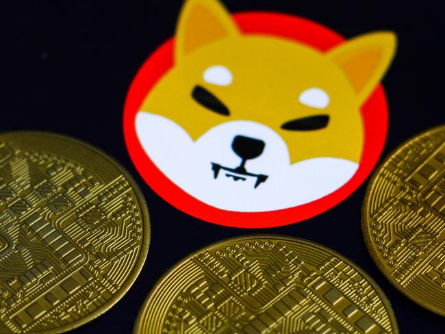 Shiba Inu cryptocurrency logo displayed on a screen and representation of cryptocurrencies are seen in this illustration photo taken in Krakow, Poland on June 29, 2021 (Photo Illustration by Jakub Porzycki/NurPhoto via Getty Images)