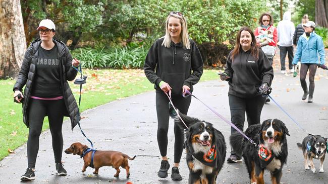 Million Paws Walk at Adelaide Botanic Gardens. Picture: Brenton Edwards