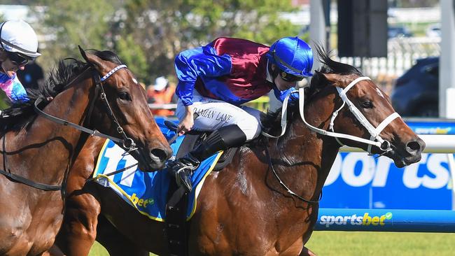 Private Life takes out the Caulfield Guineas on Saturday. Photo: Pat Scala/Getty Images.