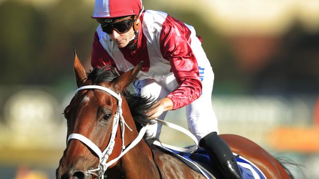 James McDonald and Arcadia Queen. Picture: Getty Images