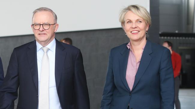 Environment Minister Tanya Plibersek and Prime Minister Anthony Albanese. Picture: Nikki Davis-Jones