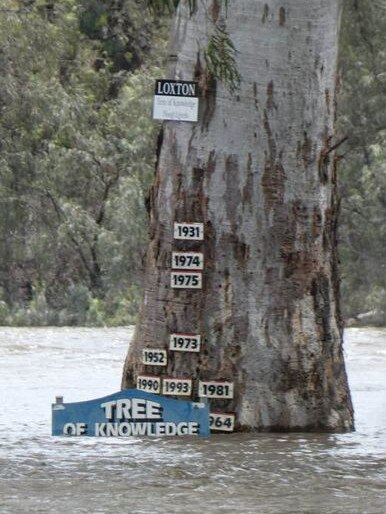 How it’s going: 20 November, 2022. Picture: Matty Schiller/Riverland Flood Watch 2022