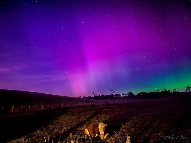 Aurora Australis visible in Tasmania. Picture: Jules Witek